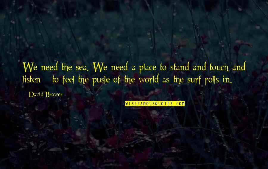 Frank Wheeler Quotes By David Brower: We need the sea. We need a place Frank Wheeler Quotes By David Brower: We need the sea. We need a place