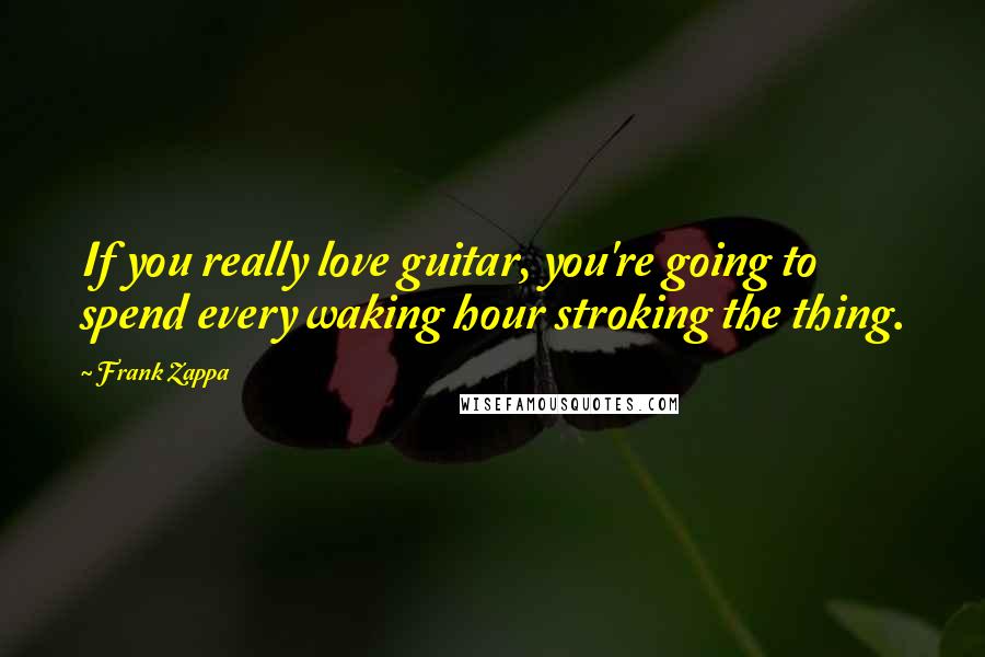Frank Zappa quotes: If you really love guitar, you're going to spend every waking hour stroking the thing.