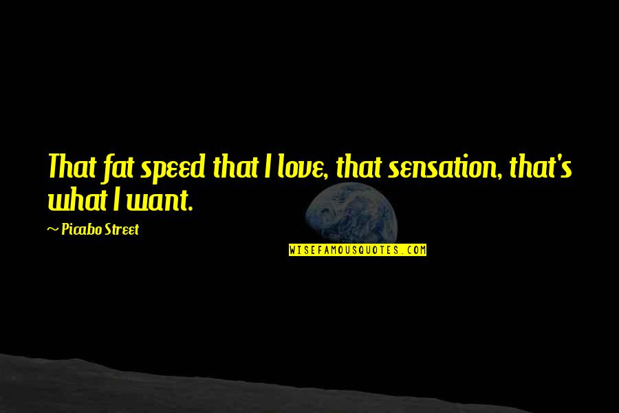 Frankenstein Abandoned Quotes By Picabo Street: That fat speed that I love, that sensation,