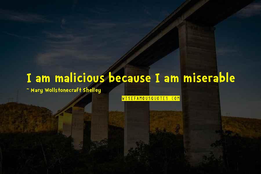 Frankenstein Mary Shelley Quotes By Mary Wollstonecraft Shelley: I am malicious because I am miserable