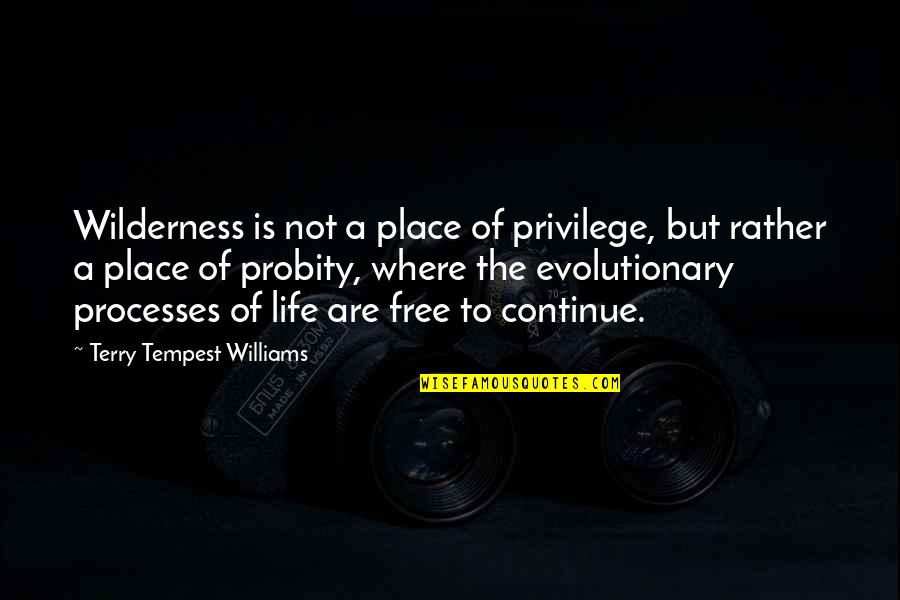 Frankenstein Mother Quotes By Terry Tempest Williams: Wilderness is not a place of privilege, but