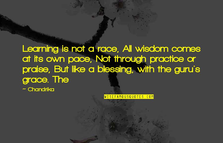 Frankfurter Sausage Quotes By Chandrika: Learning is not a race, All wisdom comes