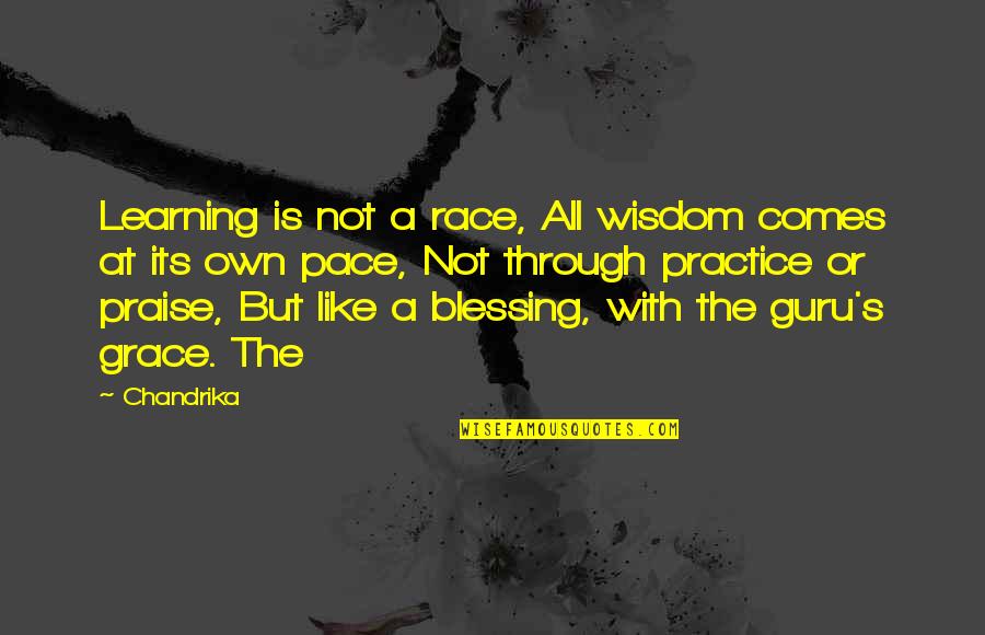 Frankfurter Sausage Quotes By Chandrika: Learning is not a race, All wisdom comes Frankfurter Sausage Quotes By Chandrika: Learning is not a race, All wisdom comes