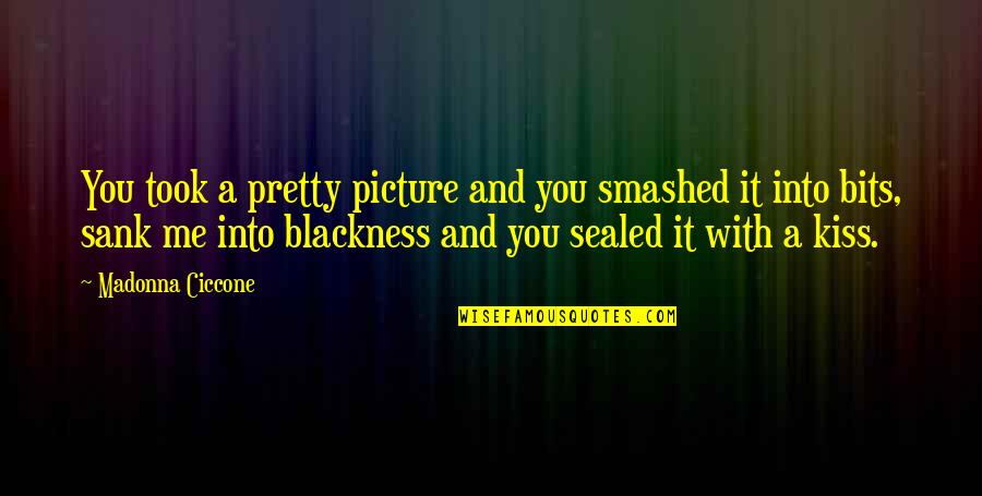 Frankie Vega Quotes By Madonna Ciccone: You took a pretty picture and you smashed Frankie Vega Quotes By Madonna Ciccone: You took a pretty picture and you smashed