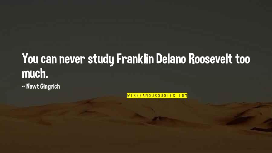 Franklin Delano Roosevelt Quotes By Newt Gingrich: You can never study Franklin Delano Roosevelt too