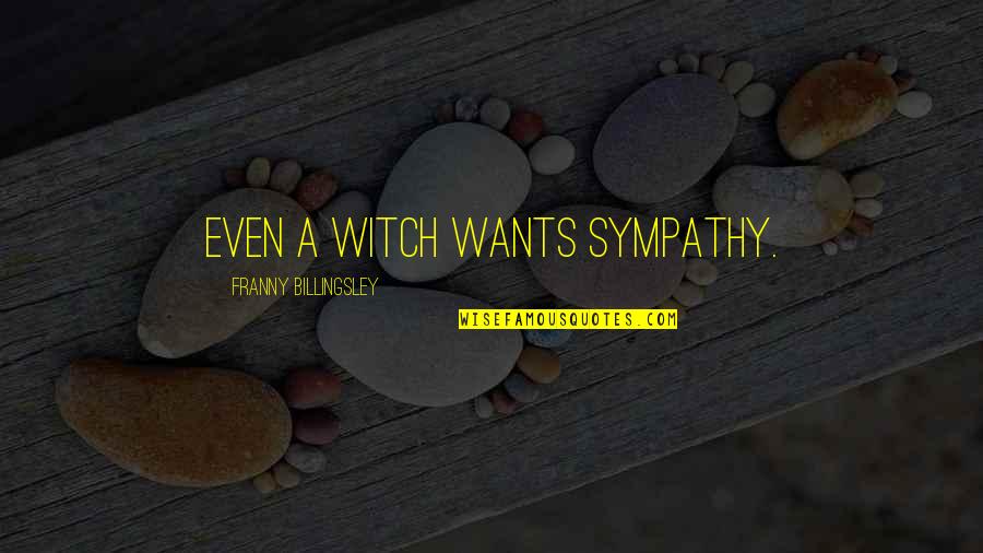 Franny's Quotes By Franny Billingsley: Even a witch wants sympathy.