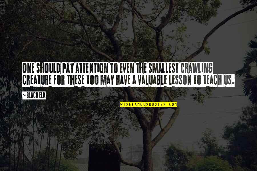 Franquet Construction Quotes By Black Elk: One should pay attention to even the smallest