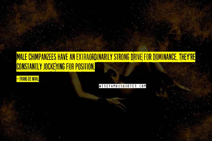 Frans De Waal quotes: Male chimpanzees have an extraordinarily strong drive for dominance. They're constantly jockeying for position. Frans De Waal quotes: Male chimpanzees have an extraordinarily strong drive for dominance. They're constantly jockeying for position.