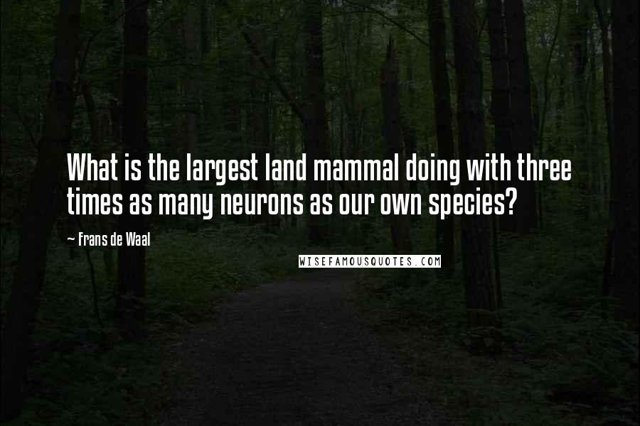 Frans De Waal quotes: What is the largest land mammal doing with three times as many neurons as our own species?