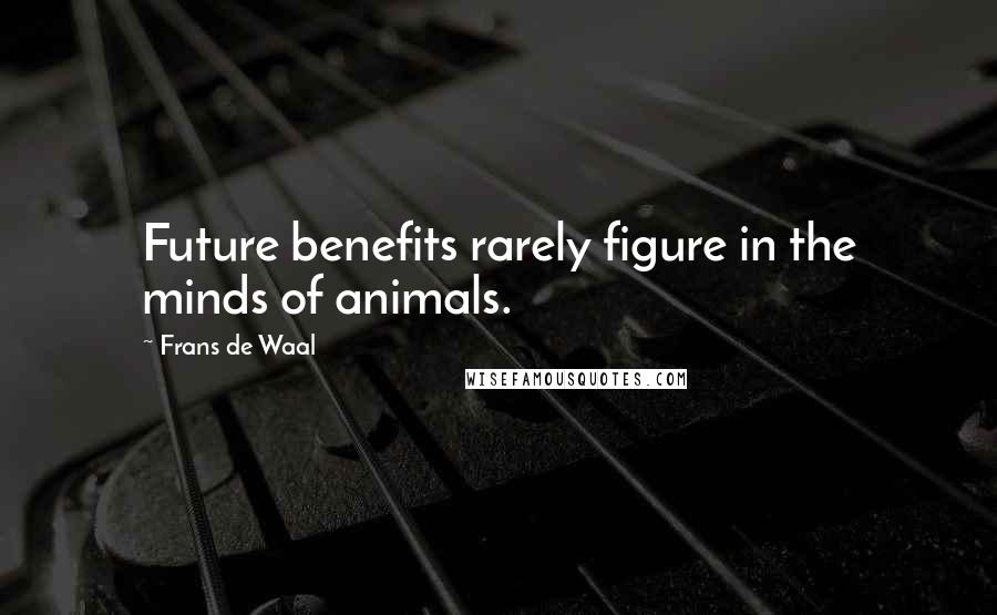 Frans De Waal quotes: Future benefits rarely figure in the minds of animals.