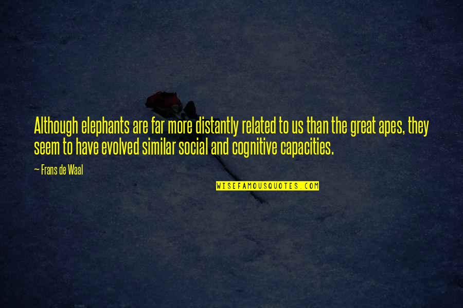 Frans De Waal Quotes By Frans De Waal: Although elephants are far more distantly related to