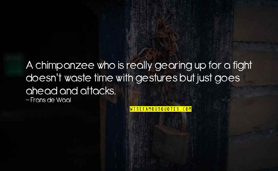 Frans De Waal Quotes By Frans De Waal: A chimpanzee who is really gearing up for