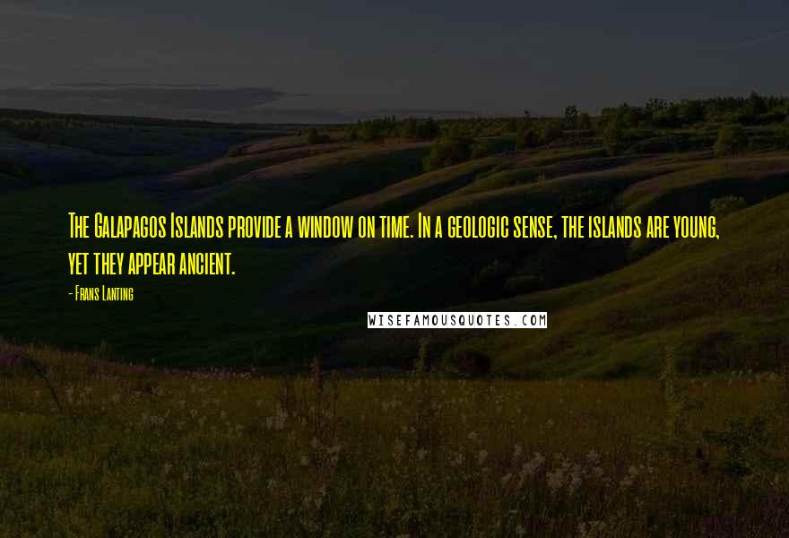 Frans Lanting quotes: The Galapagos Islands provide a window on time. In a geologic sense, the islands are young, yet they appear ancient.