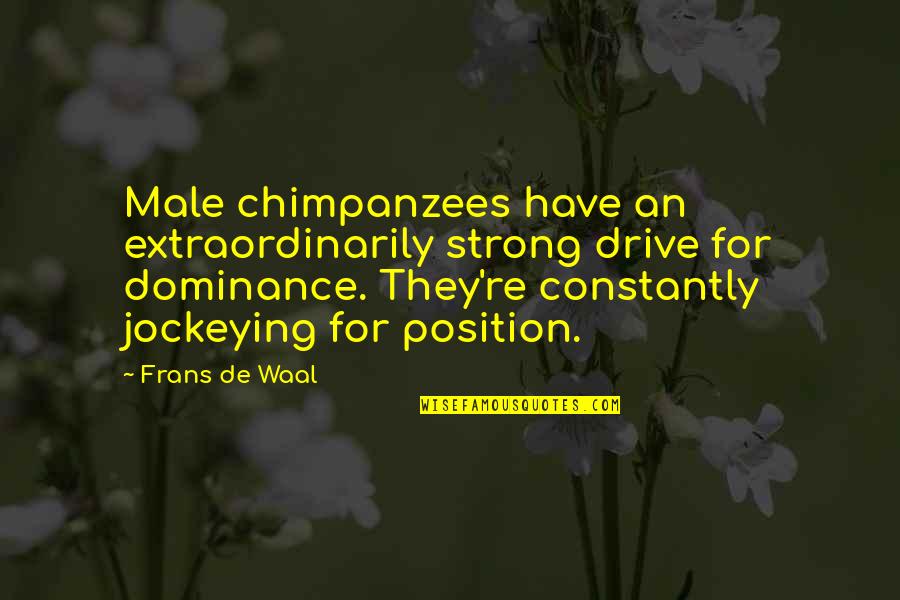 Frans Quotes By Frans De Waal: Male chimpanzees have an extraordinarily strong drive for