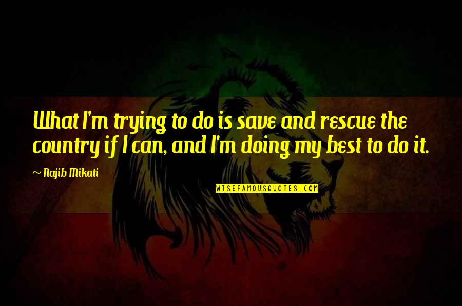 Franse Quotes By Najib Mikati: What I'm trying to do is save and