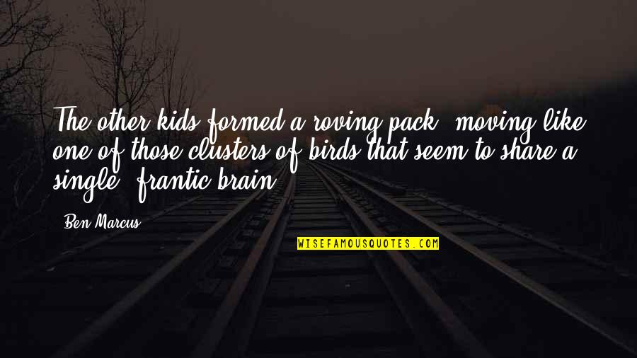 Frantic Quotes By Ben Marcus: The other kids formed a roving pack, moving