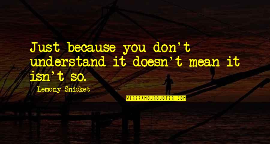 Frantisek Huf Quotes By Lemony Snicket: Just because you don't understand it doesn't mean