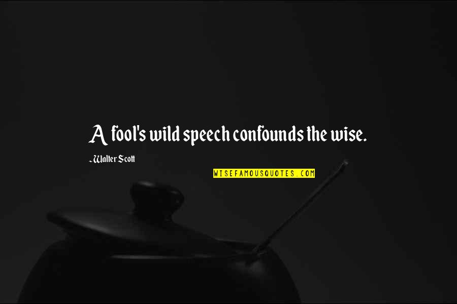 Frantisek Huf Quotes By Walter Scott: A fool's wild speech confounds the wise.