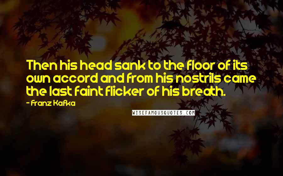 Franz Kafka quotes: Then his head sank to the floor of its own accord and from his nostrils came the last faint flicker of his breath.