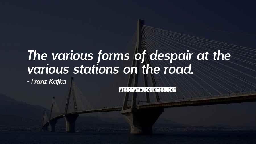 Franz Kafka quotes: The various forms of despair at the various stations on the road.