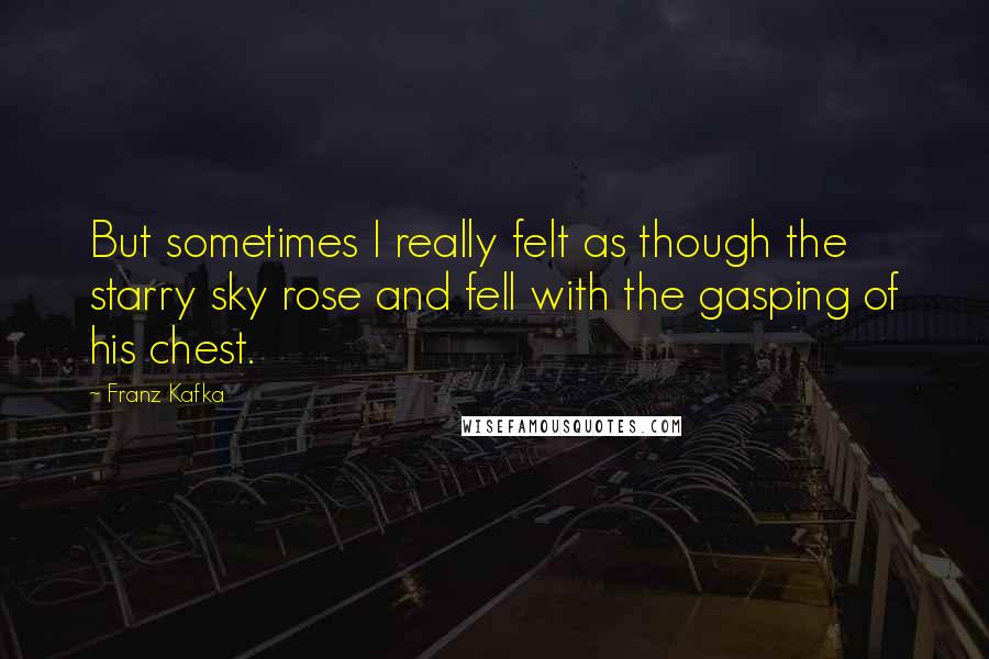 Franz Kafka quotes: But sometimes I really felt as though the starry sky rose and fell with the gasping of his chest.