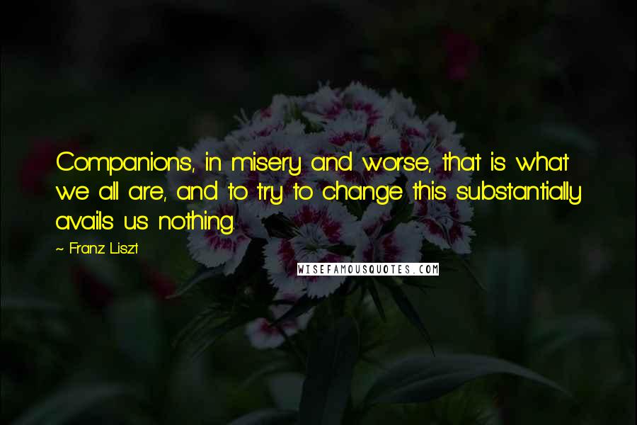 Franz Liszt quotes: Companions, in misery and worse, that is what we all are, and to try to change this substantially avails us nothing.