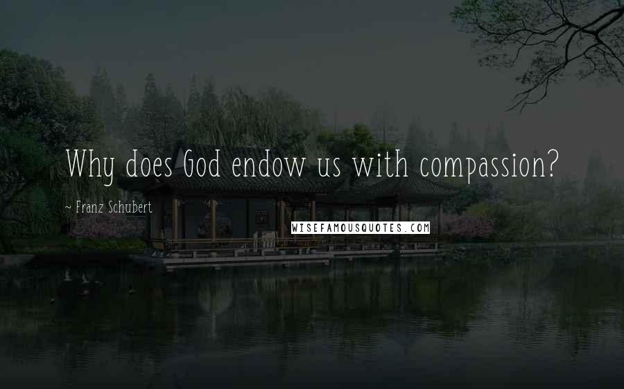 Franz Schubert quotes: Why does God endow us with compassion?