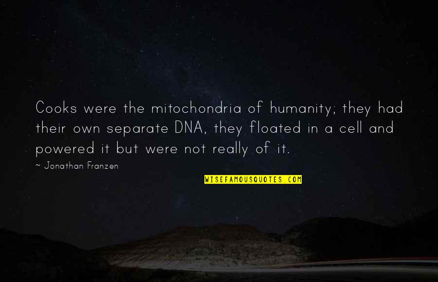 Franzen Quotes By Jonathan Franzen: Cooks were the mitochondria of humanity; they had Franzen Quotes By Jonathan Franzen: Cooks were the mitochondria of humanity; they had