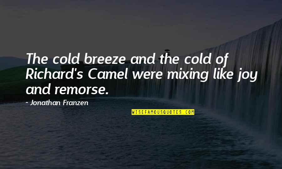 Franzen Quotes By Jonathan Franzen: The cold breeze and the cold of Richard's Franzen Quotes By Jonathan Franzen: The cold breeze and the cold of Richard's