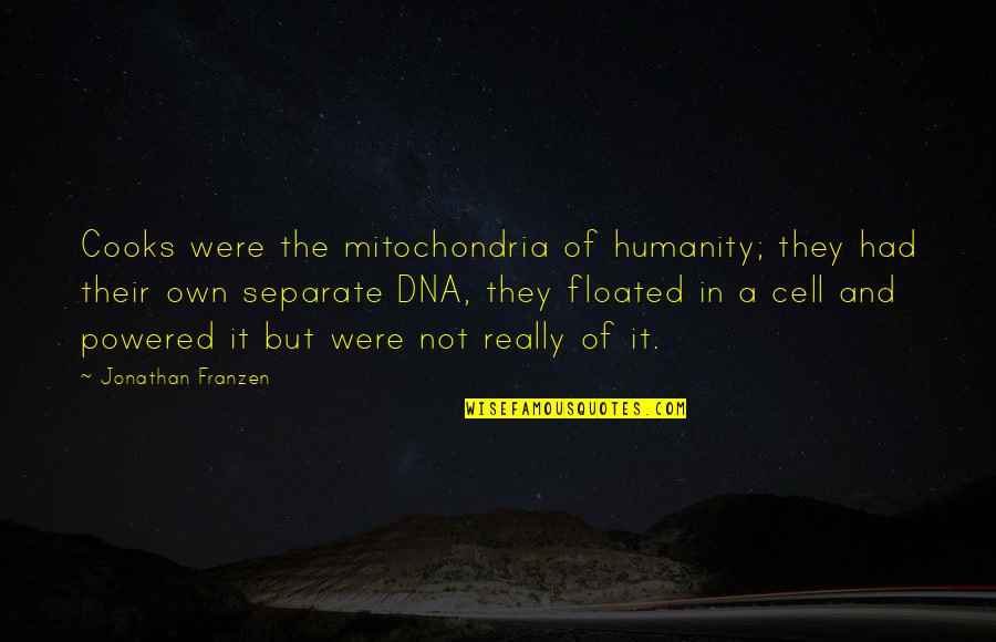 Franzen's Quotes By Jonathan Franzen: Cooks were the mitochondria of humanity; they had Franzen's Quotes By Jonathan Franzen: Cooks were the mitochondria of humanity; they had