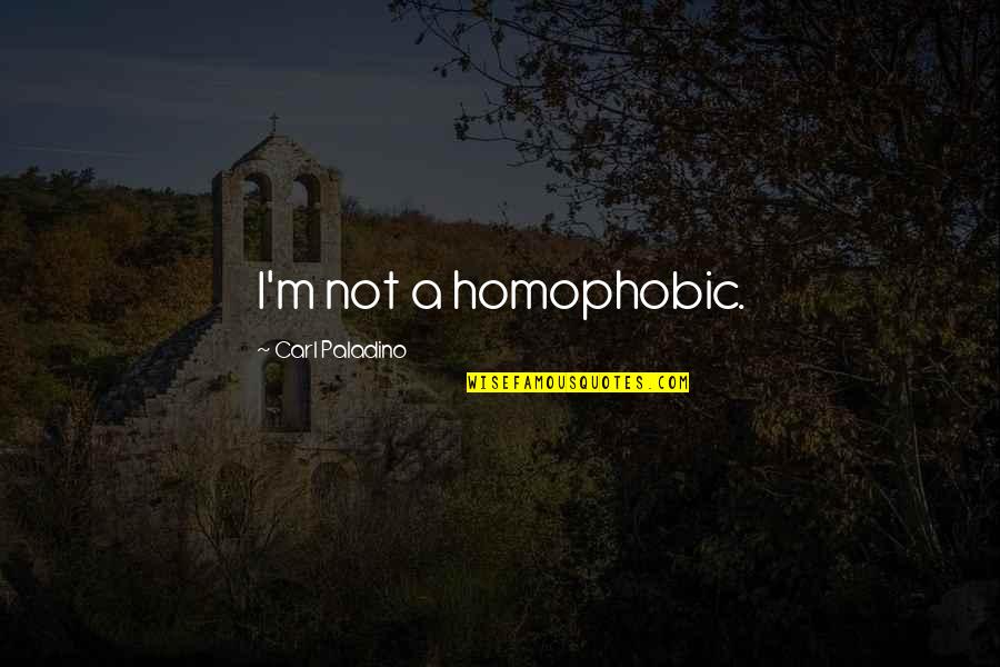 Franzini Provincetown Quotes By Carl Paladino: I'm not a homophobic. Franzini Provincetown Quotes By Carl Paladino: I'm not a homophobic.