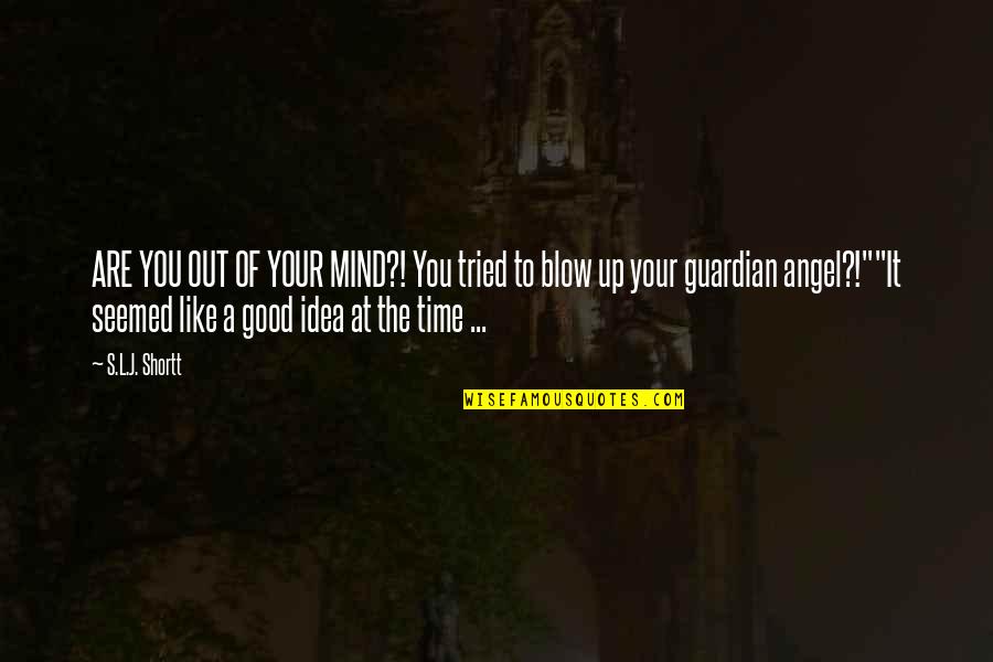 Franzoesisch Konjugieren Quotes By S.L.J. Shortt: ARE YOU OUT OF YOUR MIND?! You tried Franzoesisch Konjugieren Quotes By S.L.J. Shortt: ARE YOU OUT OF YOUR MIND?! You tried