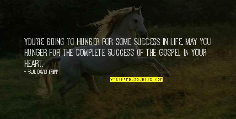 Franzone Quotes By Paul David Tripp: You're going to hunger for some success in Franzone Quotes By Paul David Tripp: You're going to hunger for some success in