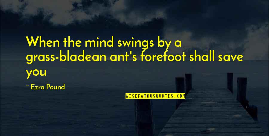 Frappuccino Quotes By Ezra Pound: When the mind swings by a grass-bladean ant's