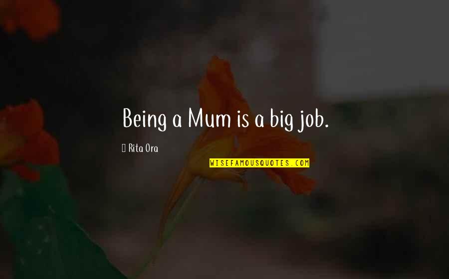 Fraquezas Personalidade Quotes By Rita Ora: Being a Mum is a big job. Fraquezas Personalidade Quotes By Rita Ora: Being a Mum is a big job.