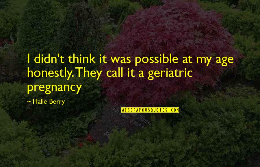 Frasco De Alabastro Quotes By Halle Berry: I didn't think it was possible at my