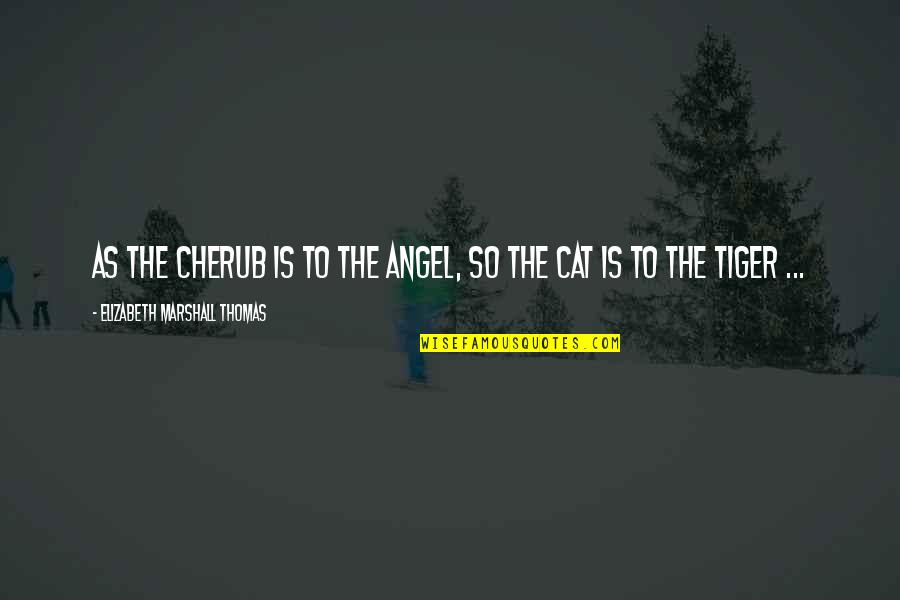Frassica Che Quotes By Elizabeth Marshall Thomas: As the cherub is to the angel, so