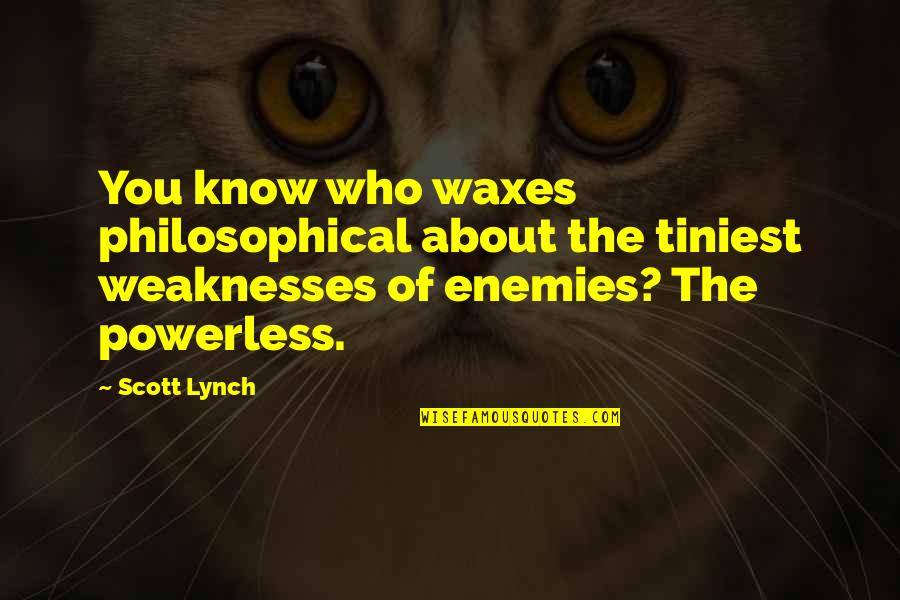 Fratar Quotes By Scott Lynch: You know who waxes philosophical about the tiniest