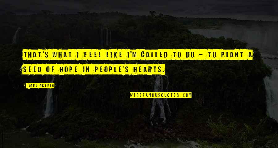 Fraternally Yours Magazine Quotes By Joel Osteen: That's what I feel like I'm called to Fraternally Yours Magazine Quotes By Joel Osteen: That's what I feel like I'm called to