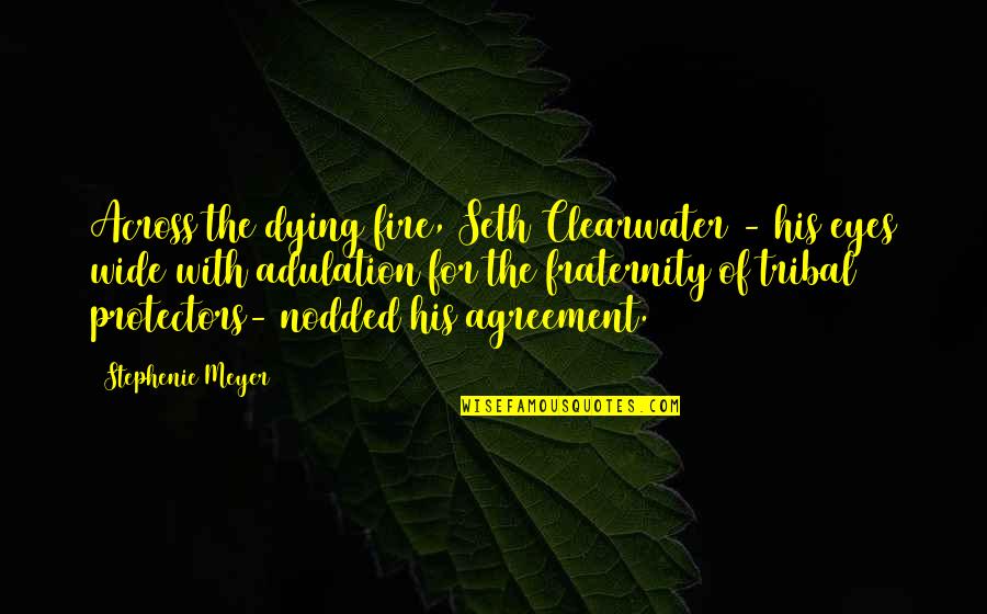 Fraternity's Quotes By Stephenie Meyer: Across the dying fire, Seth Clearwater - his