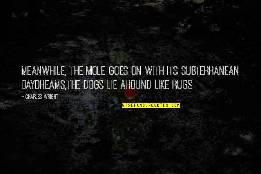Fraudsterscrew Quotes By Charles Wright: Meanwhile, the mole goes on with its subterranean Fraudsterscrew Quotes By Charles Wright: Meanwhile, the mole goes on with its subterranean
