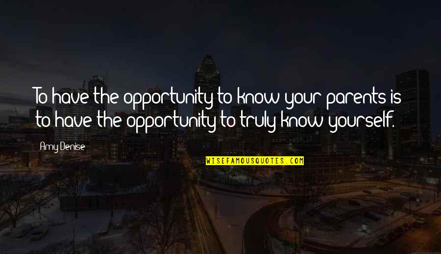 Frauenstein Hesse Quotes By Amy Denise: To have the opportunity to know your parents Frauenstein Hesse Quotes By Amy Denise: To have the opportunity to know your parents