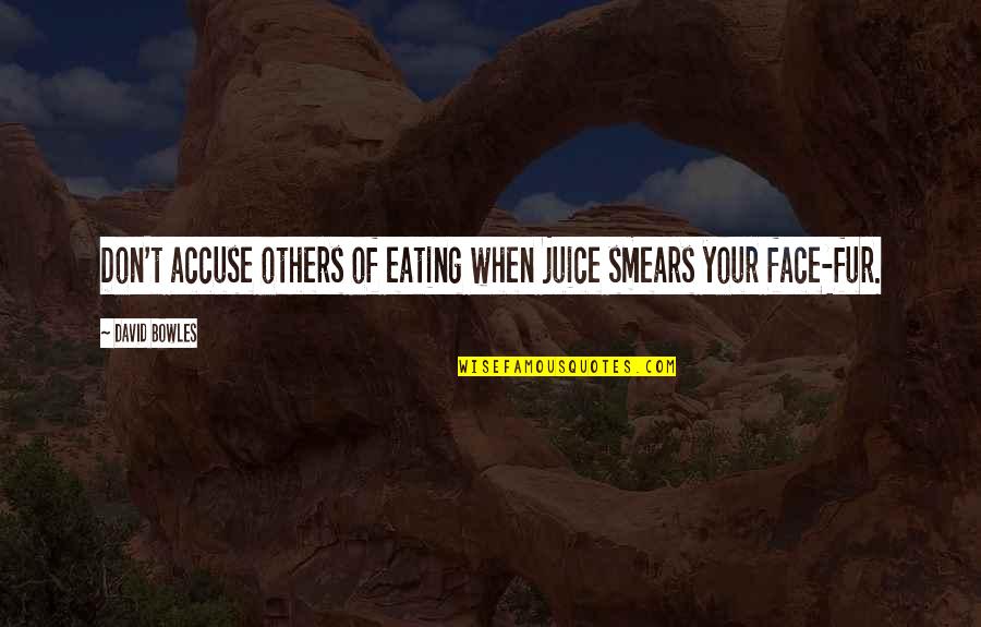 Fraunhofer Society Quotes By David Bowles: Don't accuse others of eating when juice smears