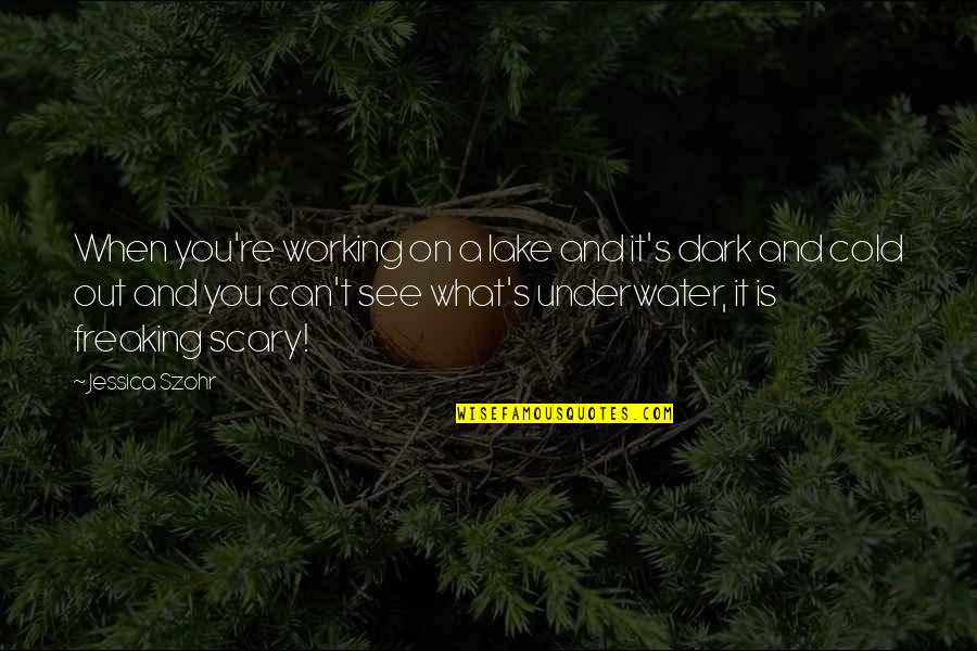 Freaking Out Quotes By Jessica Szohr: When you're working on a lake and it's