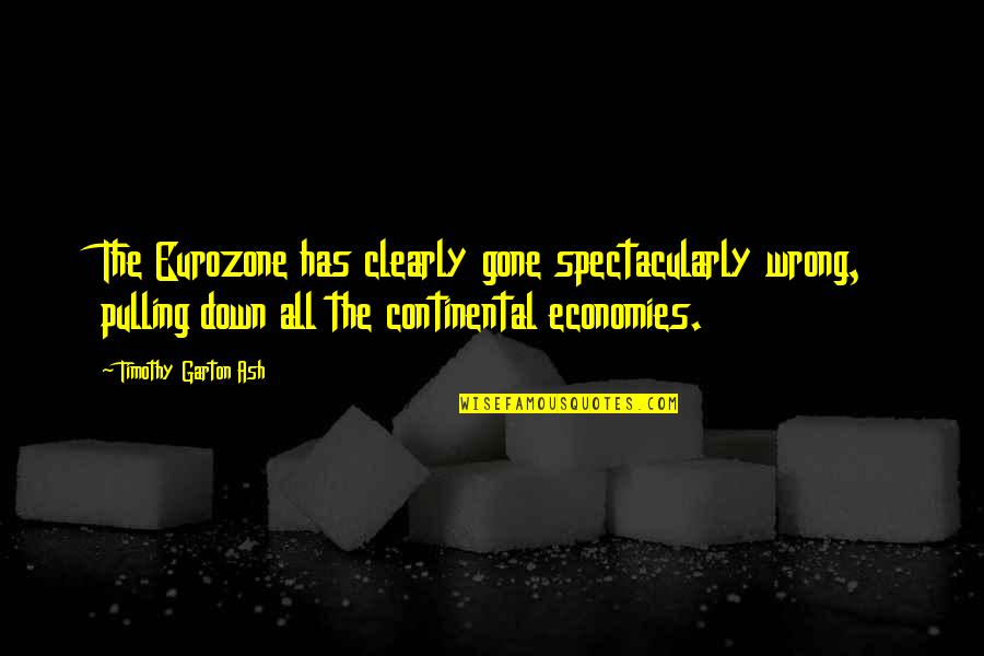 Freaky 2020 Quotes By Timothy Garton Ash: The Eurozone has clearly gone spectacularly wrong, pulling