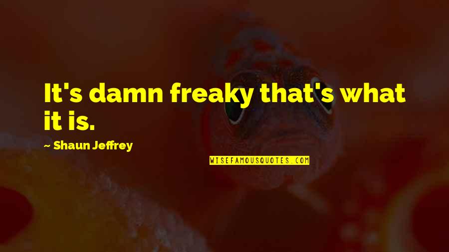 Freaky Quotes By Shaun Jeffrey: It's damn freaky that's what it is.