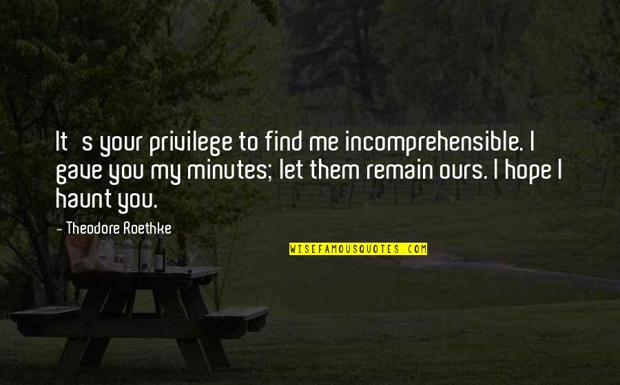 Frecce Days Quotes By Theodore Roethke: It's your privilege to find me incomprehensible. I