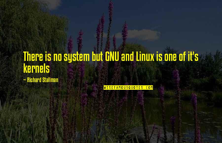 Fred And Ethel Quotes By Richard Stallman: There is no system but GNU and Linux