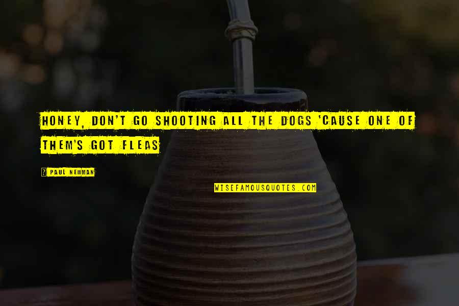 Fred Daly Quotes By Paul Newman: Honey, Don't go shooting all the dogs 'cause