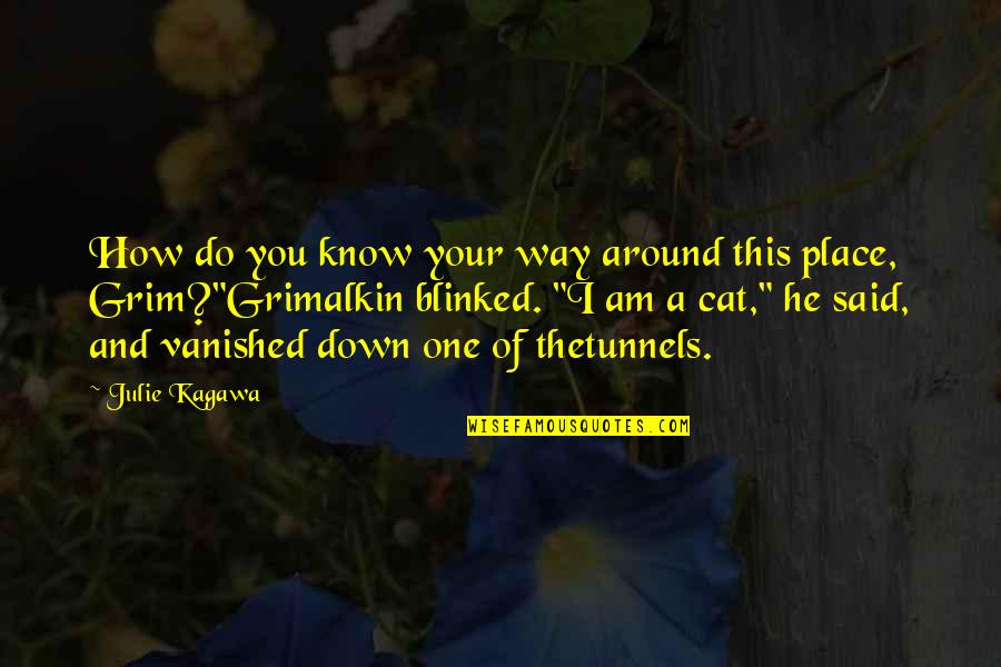 Fred Loya Quotes By Julie Kagawa: How do you know your way around this